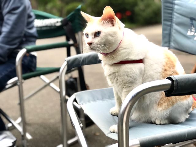 �X�^�b�t�Љ�
�ŔL�́u���v
�Ƃ��Ă��l��������
���f�u�����ł�_���a��{(���傤�킪��)