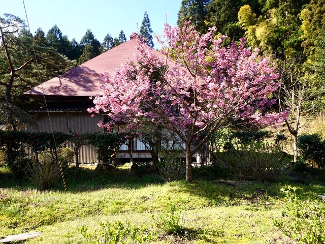 �G�߂��Ƃ̉Ԃ��Ö��Ƃ��ʂ�܂�_���a��{(���傤�킪��)