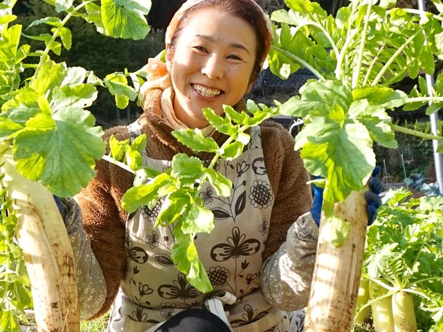 ���n�͔��d���̑�햡_���a��{(���傤�킪��)