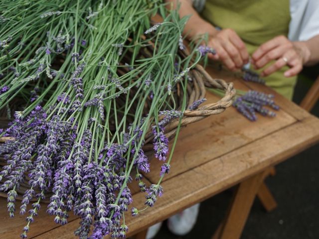 ���n�������x���_�[��
�X�e�b�N�����[�X���_���a��{(���傤�킪��)