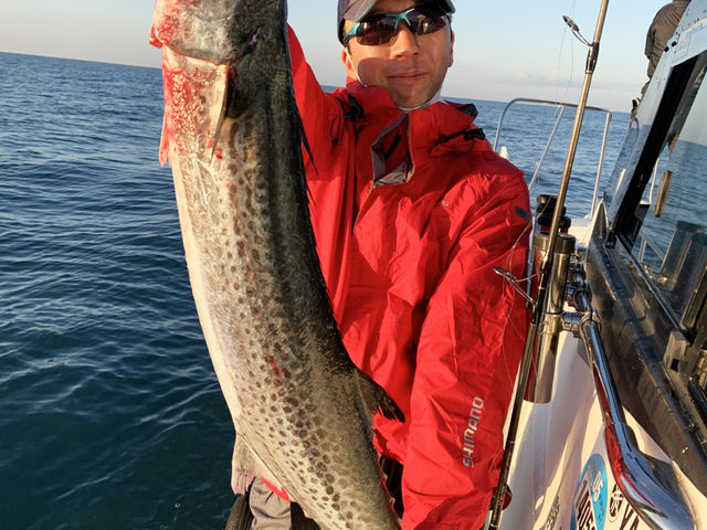 �V���D �W�����L�[