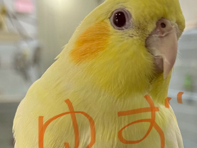 MIRAI-UP Bird+】予約・アクセス・割引クーポン - じゃらんnet