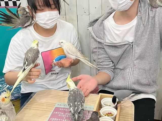 ���܂݂��_MIRAI-UP Bird+