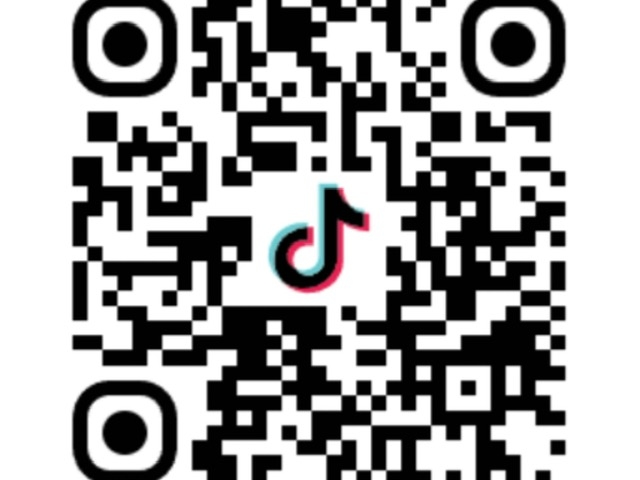 ���X�̃e�B�b�N�g�b�N�ł���_MIRAI-UP Bird+