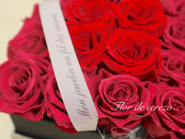 �v���[���g�ɐ^���Ԃȃ��[�Y���I�[���v���U�[�u�h�t�����[_SAKURA