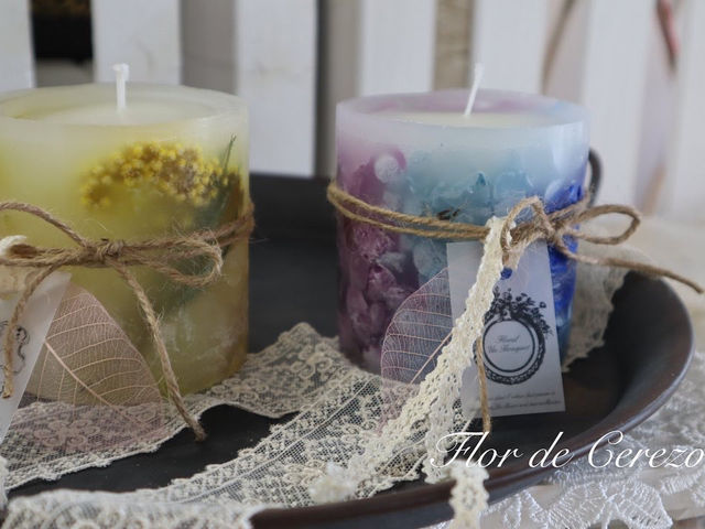 �L�����h�����b�X���D�݂̂��Ԃ���������l�߂�_SAKURA