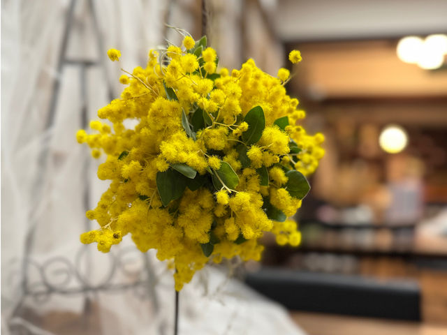 �t���b�V���~���U�ƓX��_SAKURA