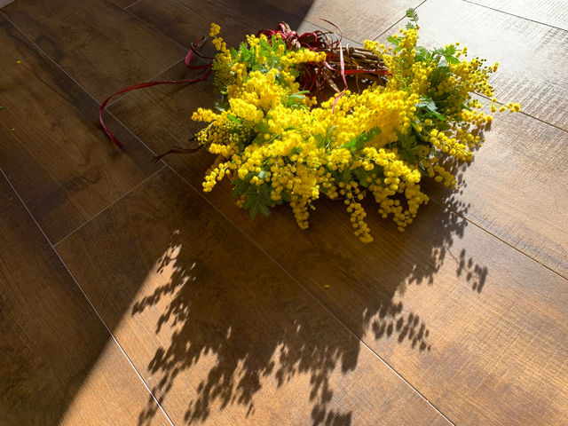 �t���b�V������h���C�t�����[�܂Ń~���U���[�X�͑�l�C�ł����Ԍ���I_SAKURA