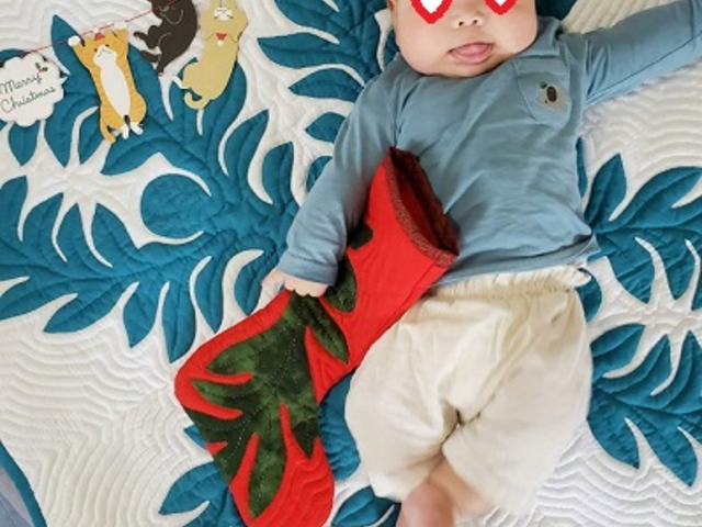 �x�r�[�L���g
90�p�~90�p_�n���C�A���L���g�����@�v�A���j�L���g