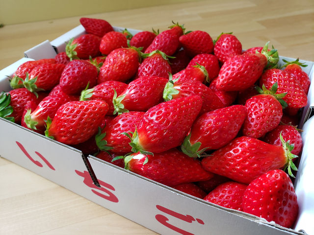 �W�����p�������@�̔����@�@�Ⓚ�����������p�ӂ��Ă܂�_�������̉�