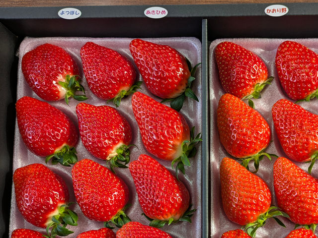 �������̉Ԃ̎ʐ^1