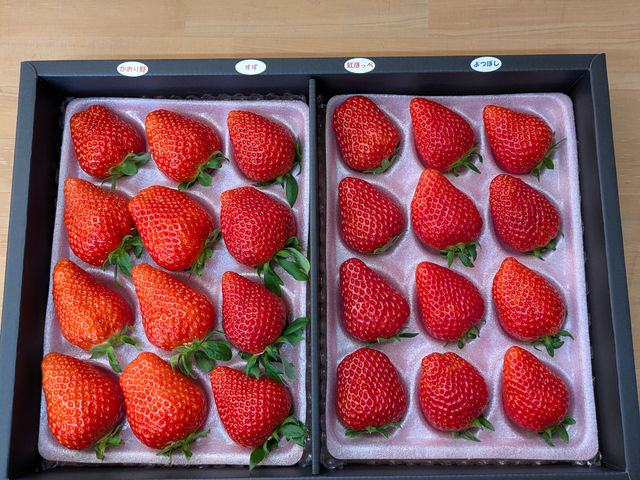 �w�����p�x�M�t�gBOX���p�ӏo���܂��@�i���A�T�C�Y�A���\�Z�͓X���ł����k��������_�������̉�