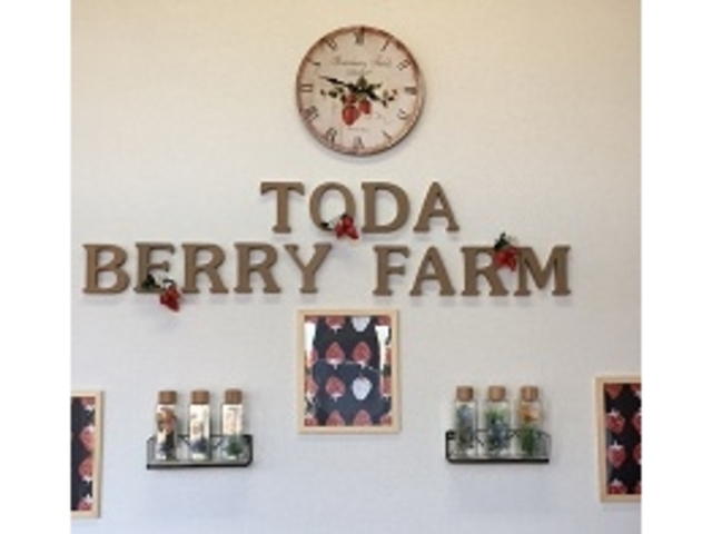 TODA�x���[�t�@�[��