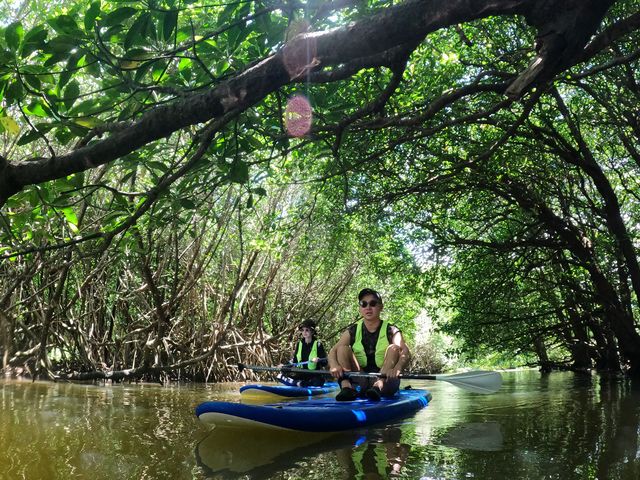 �}���O���[�u�̖؉A�ŋx�e�B_PADDLE&NAPS