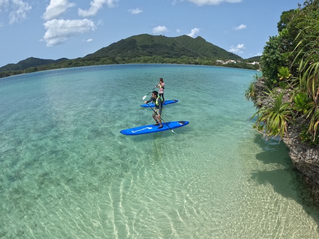 ���R�ɑ����Ŋy����ł���������_PADDLE&NAPS