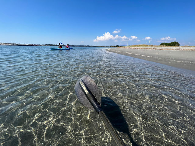 ���ꂼ�l���Ζ��l���t�B�[���h�̔������I�I_�l���΃p�h��