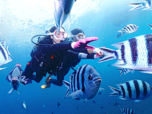 �����Ɖj����_�n�C�r�X�J�X