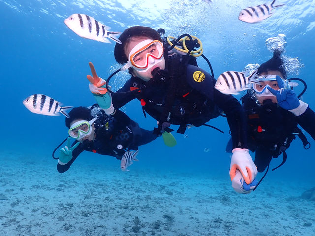 �n�C�r�X�J�X