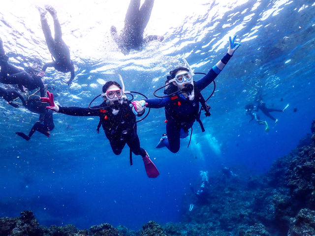 �n�C�r�X�J�X