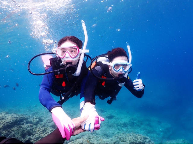 �n�C�r�X�J�X