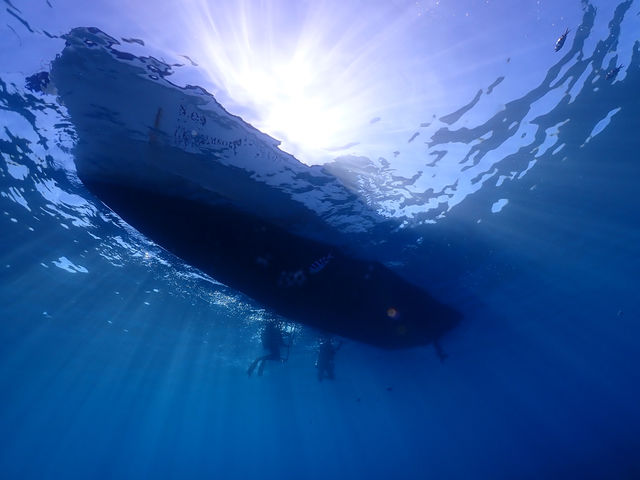 �n�C�r�X�J�X