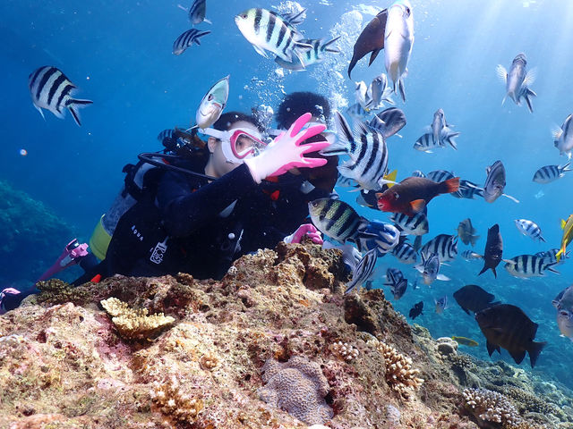 �n�C�r�X�J�X