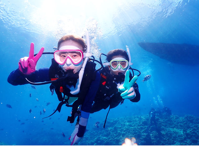 �n�C�r�X�J�X