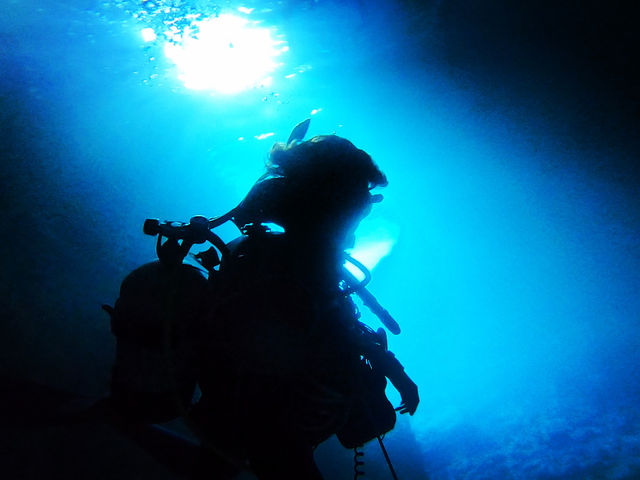 �n�C�r�X�J�X