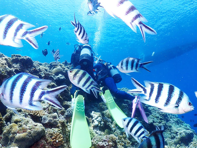 �n�C�r�X�J�X