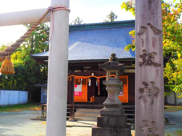 ����_��_����_�Ёi�R�`�����R���j