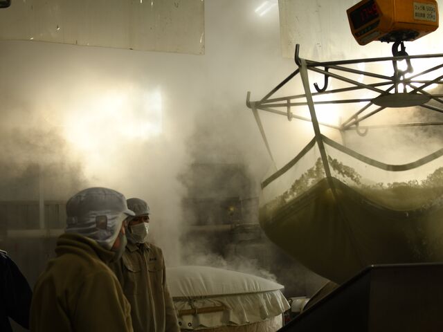 �ʔT���𑢂̎ʐ^1