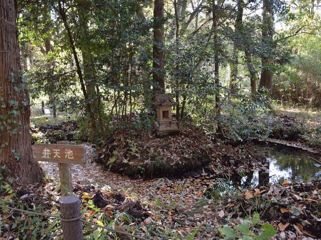 ����Ԃ���r���R���������̎ʐ^1