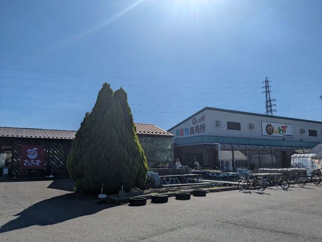 ���̂�_�Y��������������ŁE�_�ƃ��X�g�������񂿉Ƃ̎ʐ^1