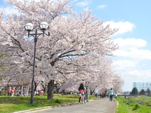 ��x�샊�o�[�T�C�h�p�[�N�̎ʐ^1