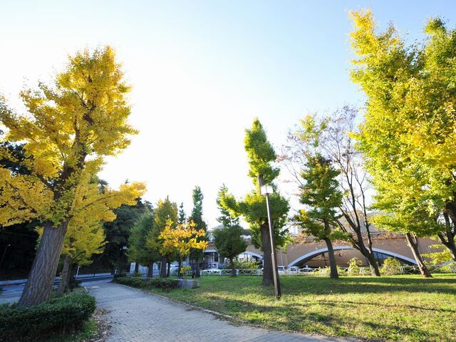 ���ӂ邳�ƌ���