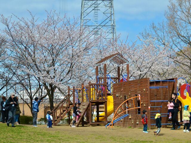 ���ӂ邳�ƌ����̎ʐ^1