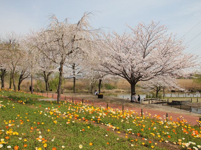 �k���ӂ邳�ƌ����̎ʐ^1