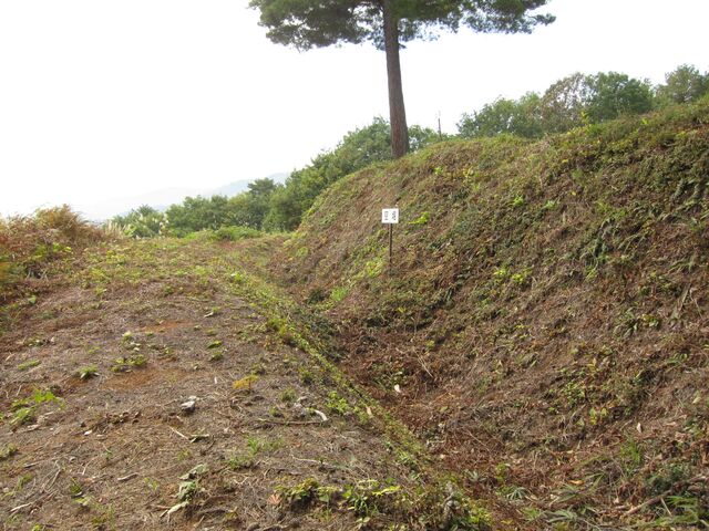 ���R�X���_���R�X���