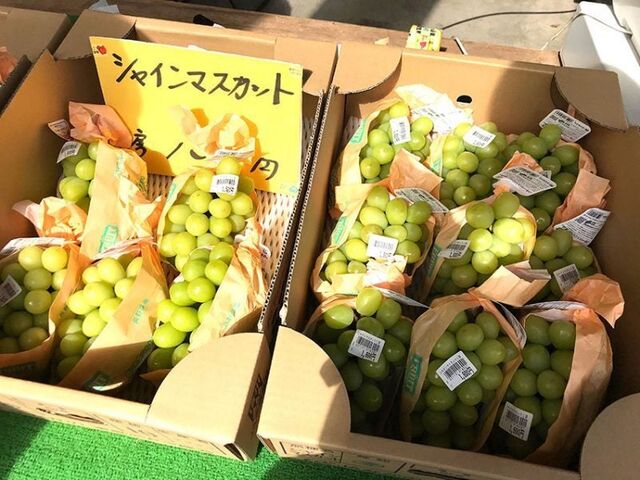 JA�Ȃ��̍��R���I��