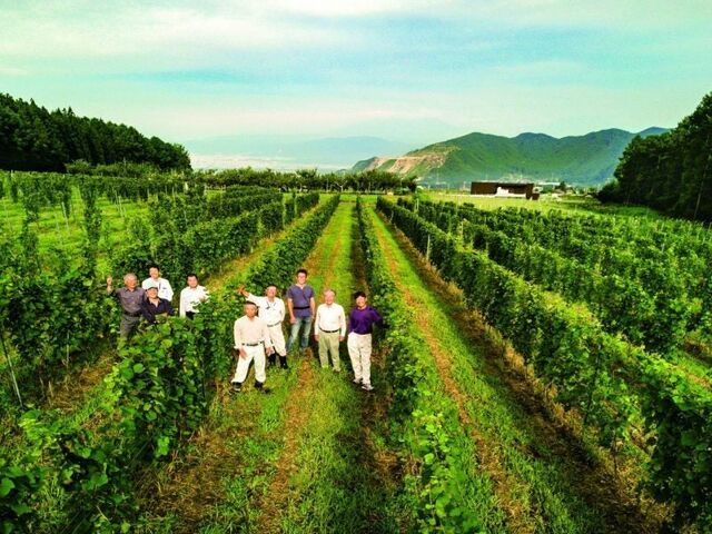 �M�B������܃��C�i���[