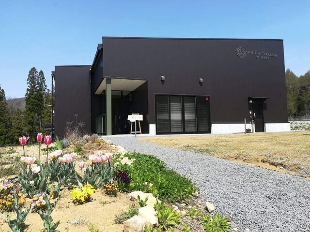 �M�B������܃��C�i���[�̎ʐ^1