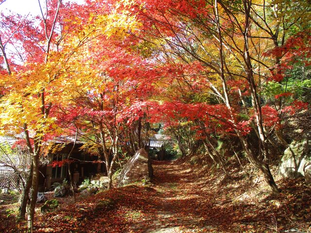 �ՐΎR�\����