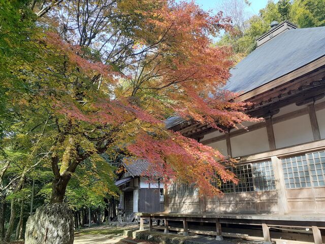 �ՐΎR�\����