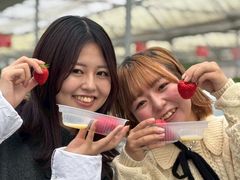 �̌��_���@�݂Ƃ��̎ʐ^1