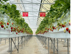 �̌��_���@�݂Ƃ��̎ʐ^1