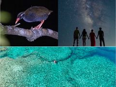 TarzanWorld�̎ʐ^1