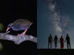 TarzanWorld�̎ʐ^1