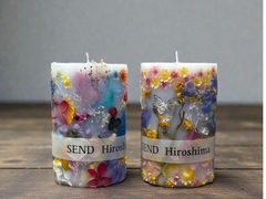 SEND Hiroshima�̎ʐ^1