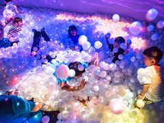 リトルプラネット ダイバーシティ東京 プラザの写真1