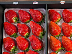 �������̉Ԃ̎ʐ^1